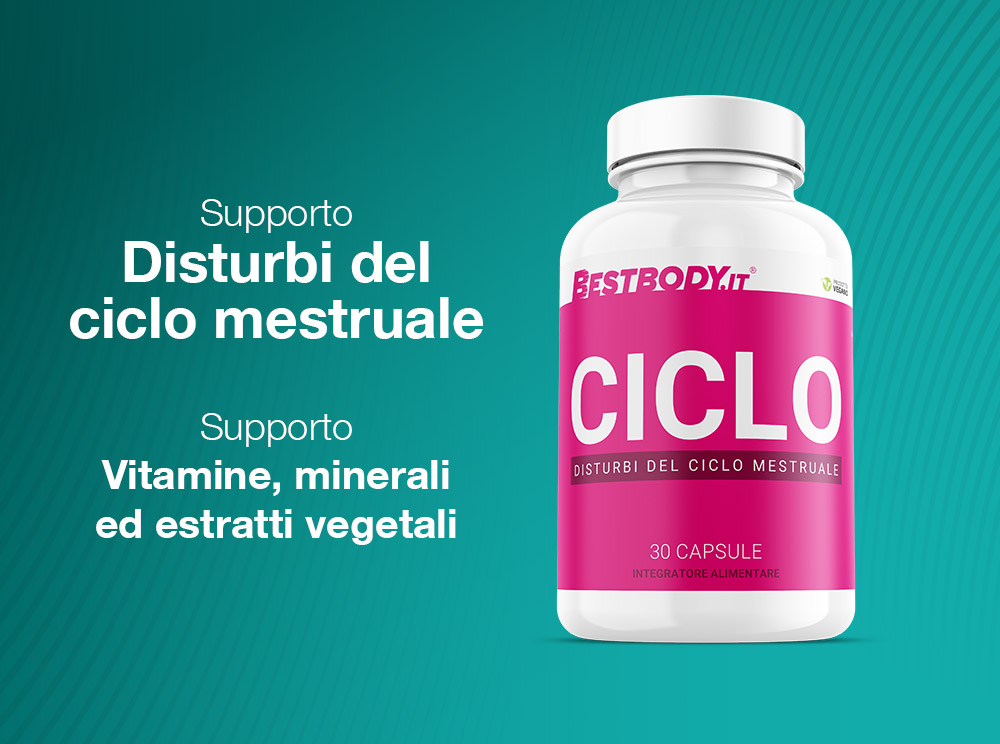 Ciclo