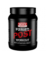 Forged Post Workout 600 g