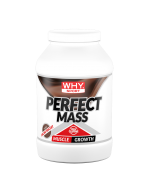Perfect Mass 1,6 kg