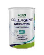 Collagene Rigenera 330 g 