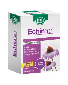 Echinaid 60 Naturcaps