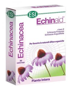 Echinaid 30 Capsule
