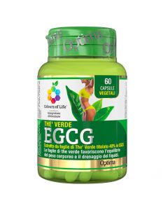 Thè Verde EGCG (60cps)