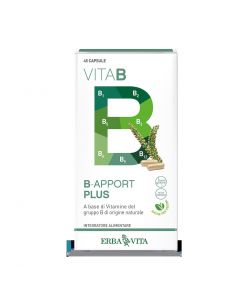 Erba Vita B-Apport Plus 45 Capsule