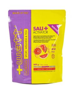 Sali+ Electrolyte 500 g arancia