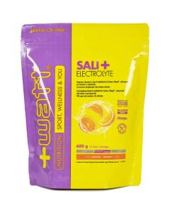 Sali+ Electrolyte Doypack 600 g arancia