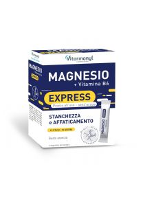 Vitarmonyl Magnesio + Vitamina B6 Express 15 Stick