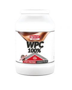 WHYSPORT WPC 100% WHEY CHOC2KG