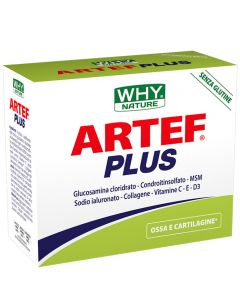 Artef Plus 24 Bustine