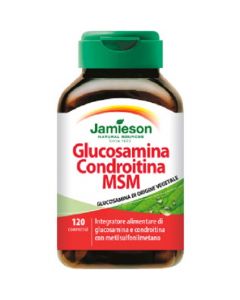 Glucosamine Chondroitin MSM 120 cpr