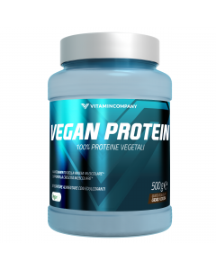 Vegan Protein ProEarth 500 g