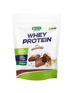 Whey Protein 400 g